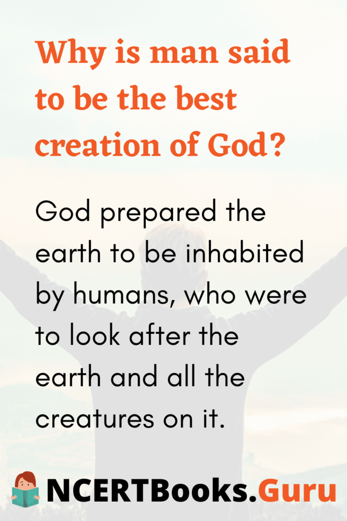 God s beautiful creation essay image