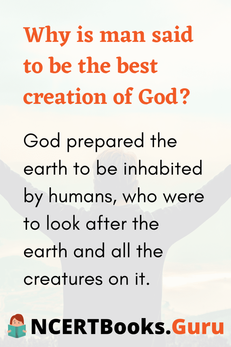 god's creation of man essay