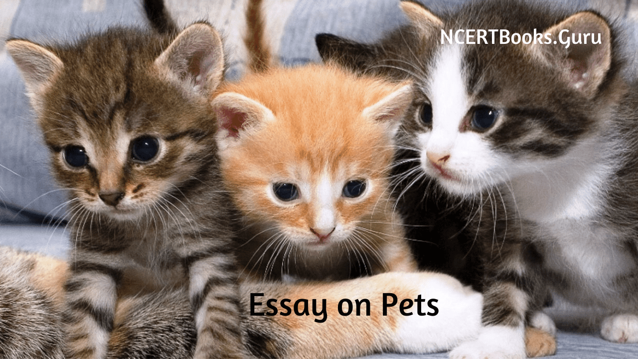 Essay on Pets for Students & Children | Long & Short Essays in English