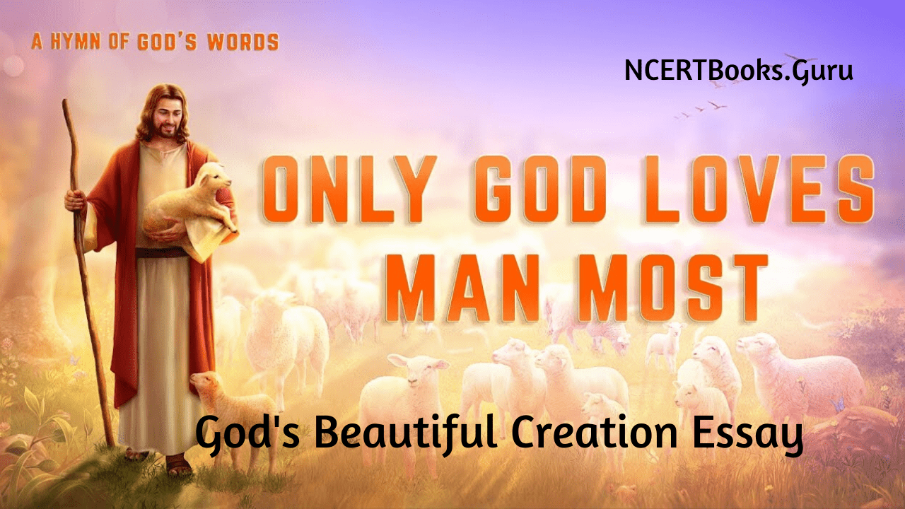 God's Beautiful Creation Essay