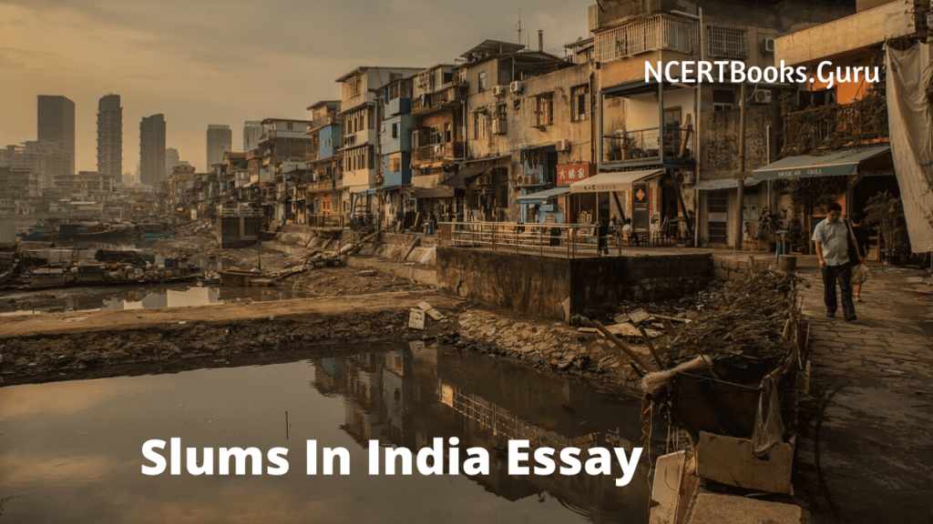 essay on slums in india 1000 words