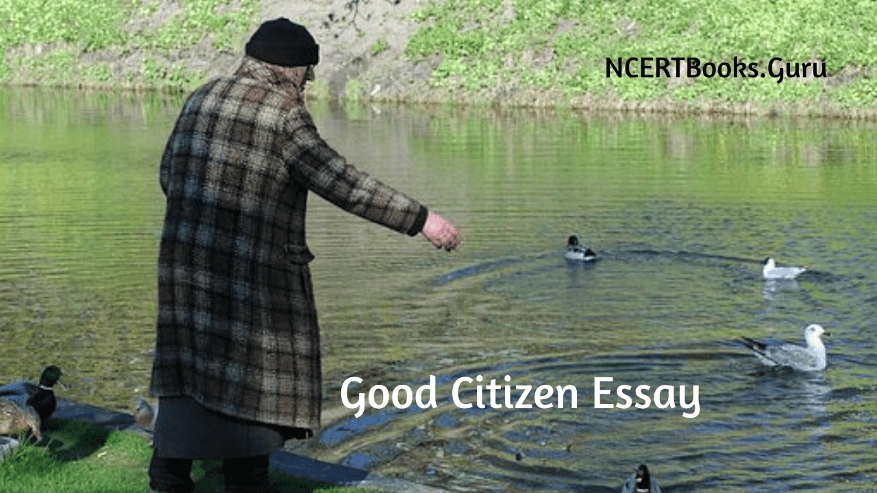 Good Citizen Essay