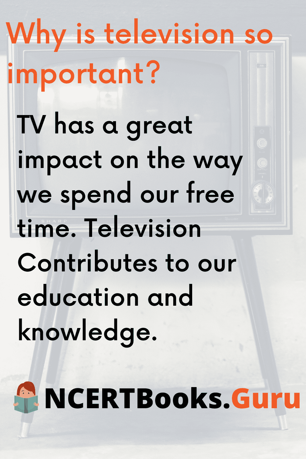 essay on television with quotes