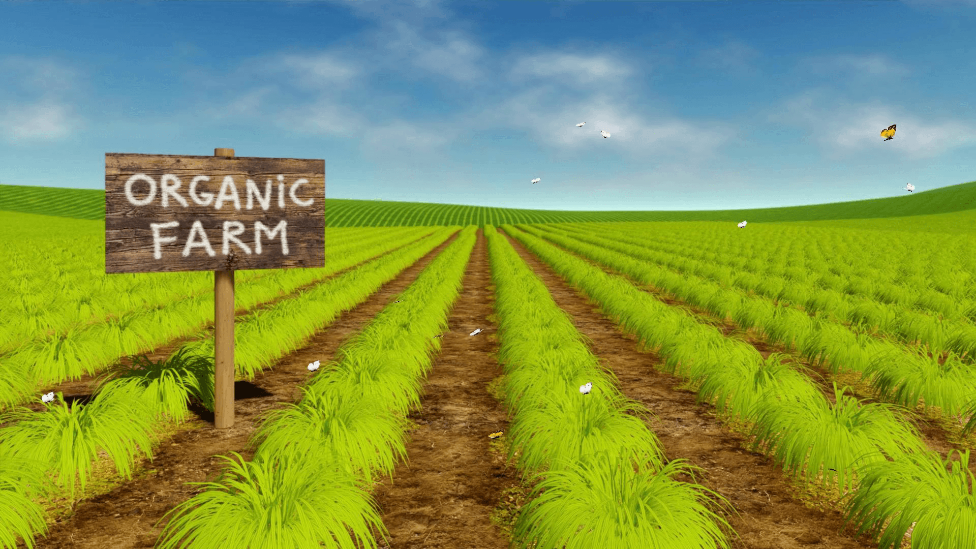 essay on organic farming