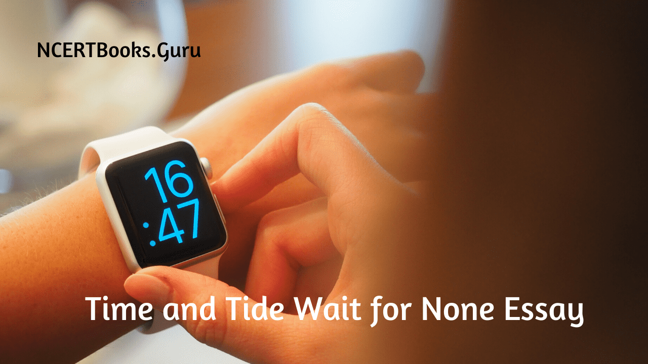 Essay on Time and Tide Wait for None