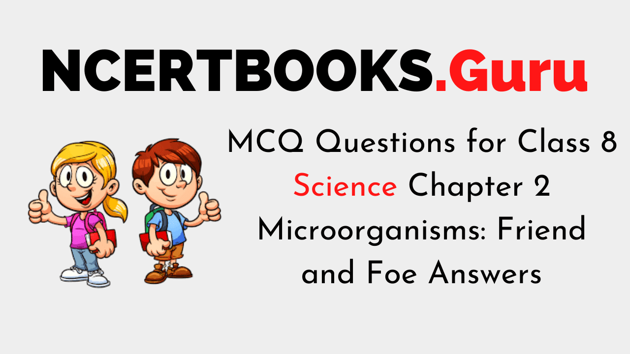 MCQ Questions for Class 8 Science Chapter 2 Microorganisms Friend and Foe with Answers