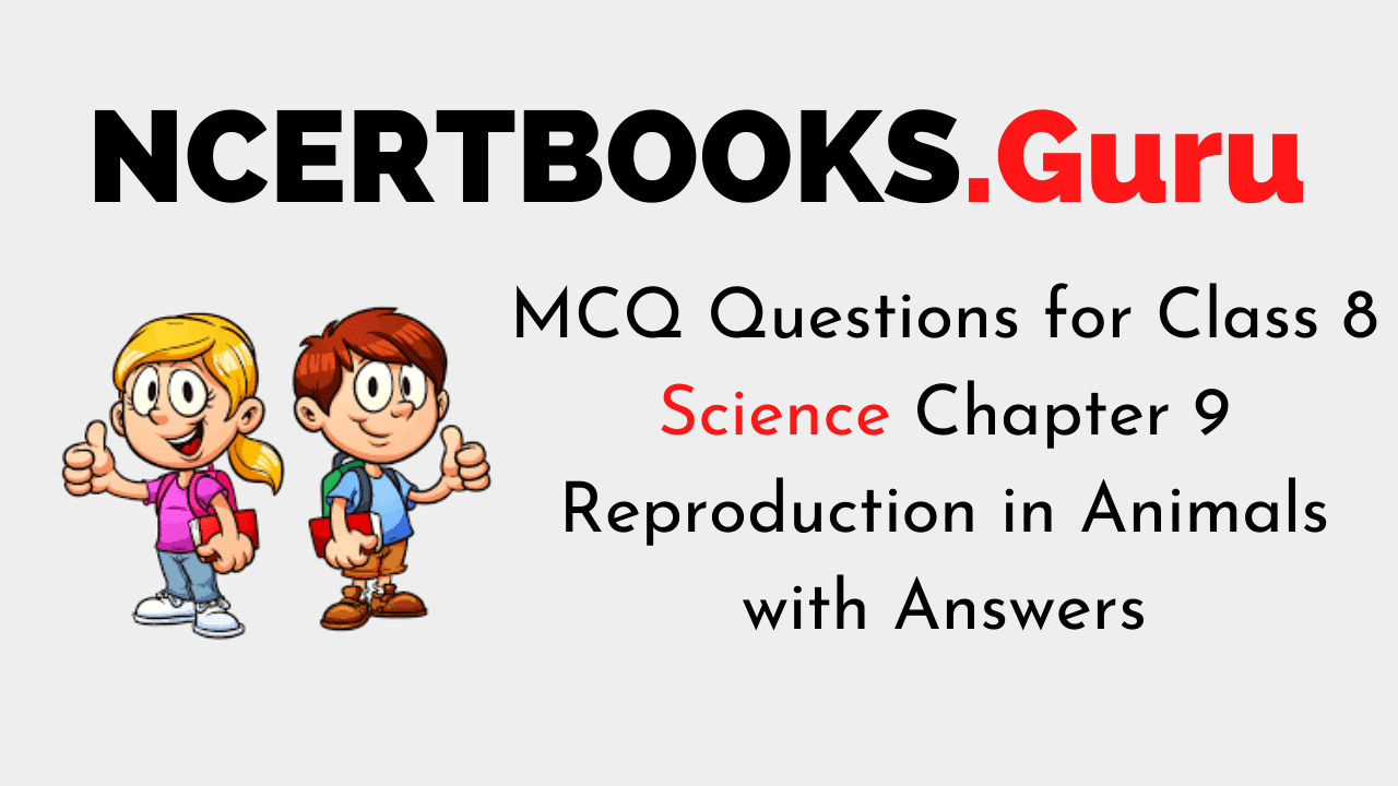 MCQ Questions for Class 8 Science Chapter 9 Reproduction in Animals with Answers - NCERT Books MCQ Questions for Class 8 Science Chapter 9 Reproduction in Animals with Answers - NCERT Books
