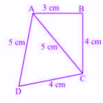 MCQ Questions for Class 9 Maths Chapter 12 Heron’s with Answers 1