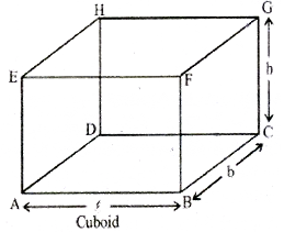 MCQ Questions for Class 9 Science Chapter 10 Gravitation with Answers 2