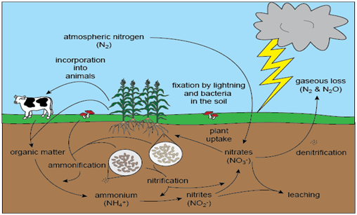 MCQ Questions for Class 9 Science Chapter 14 Natural Resources with Answers 1