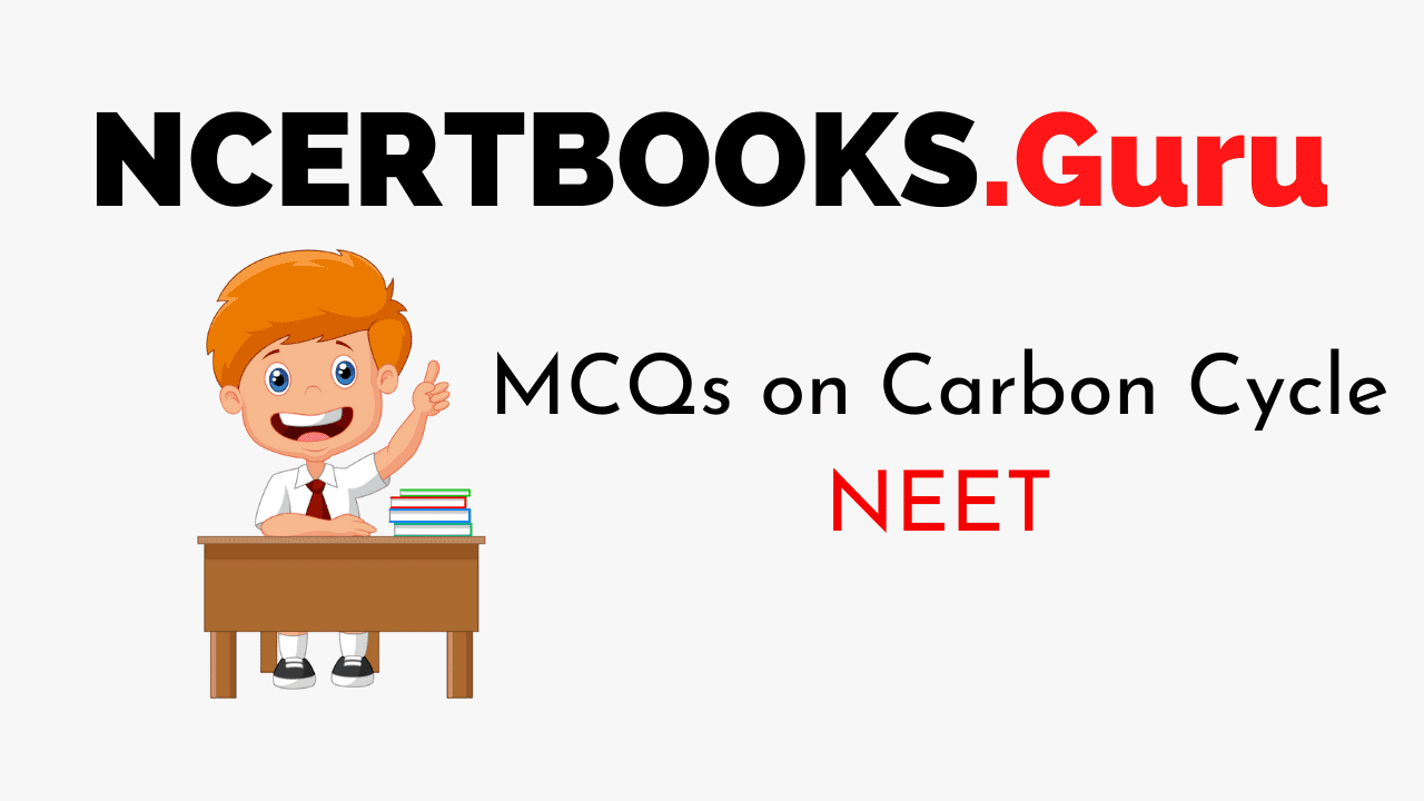 Carbon Cycle MCQs for NEET