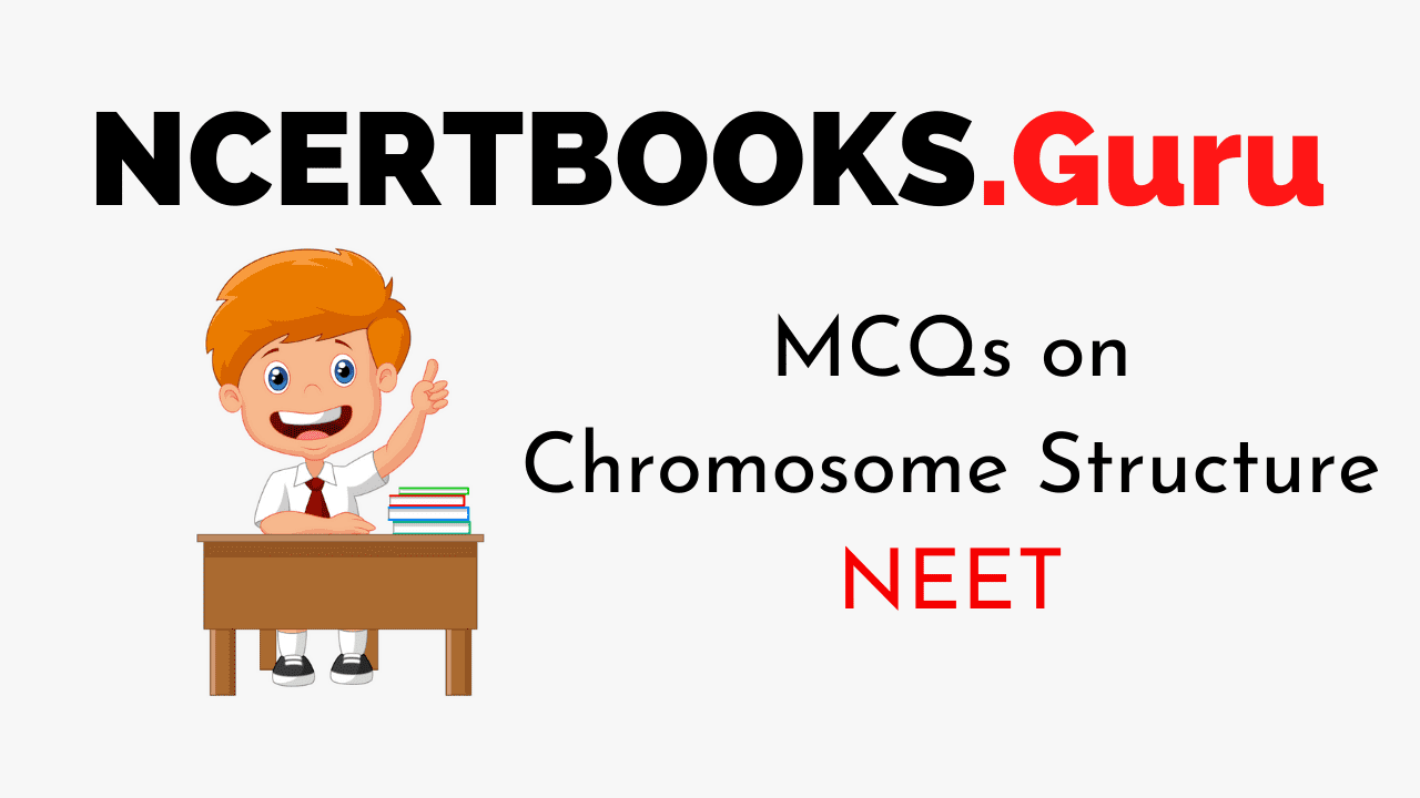 Chromosome Structure for NEET