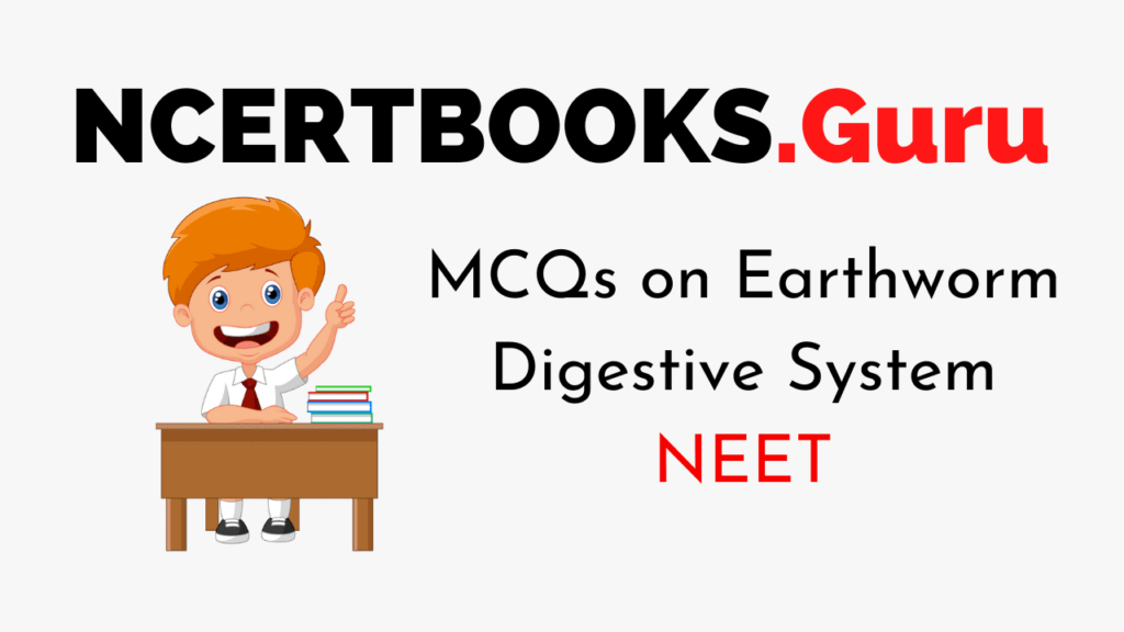 Earthworm Digestive System for NEET
