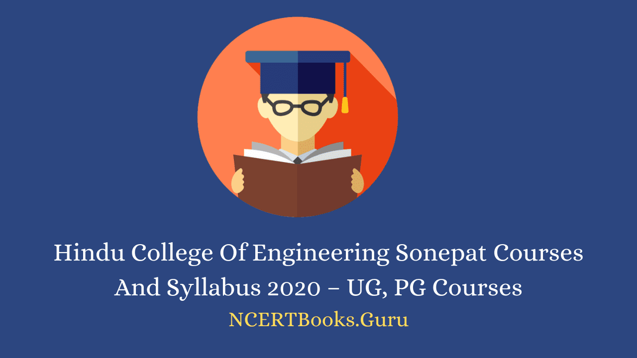 Hindu College Of Engineering Sonepat Courses