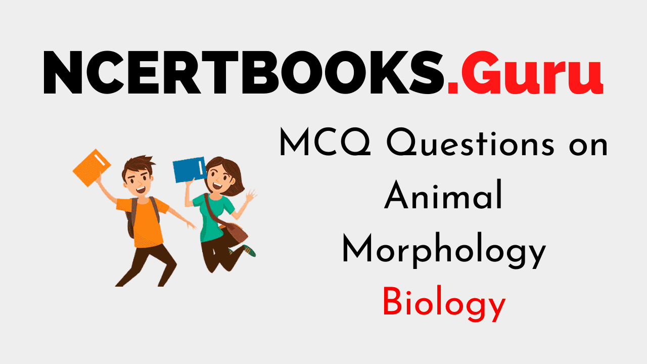MCQ Questions on Animal Morphology