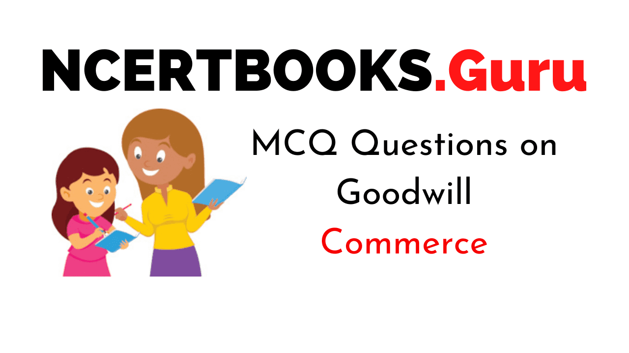MCQ Questions on Goodwill