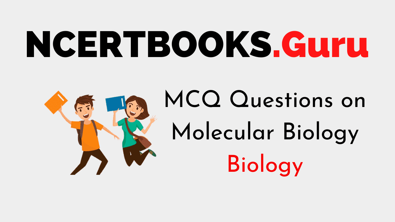 MCQ Questions on Molecular Biology