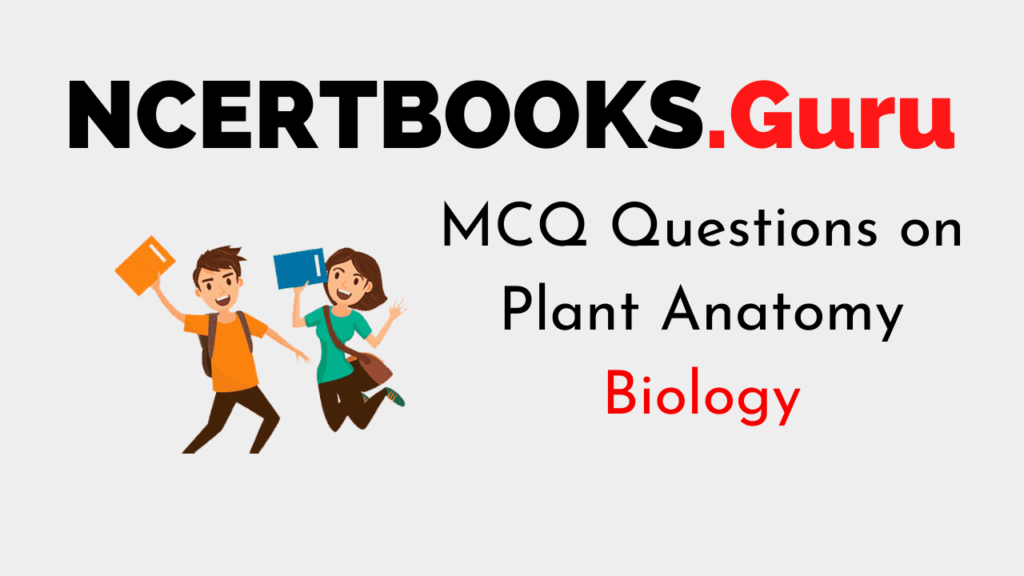 MCQ Questions on Plant Anatomy