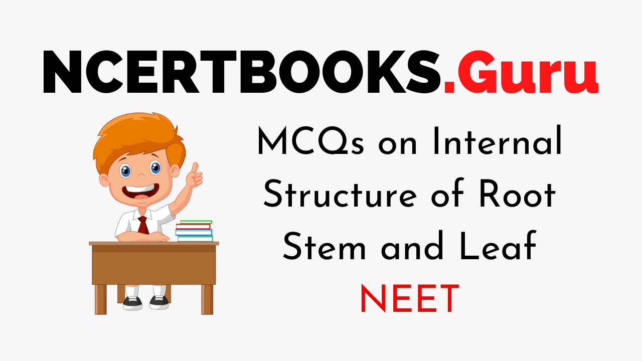 MCQs On Internal Structure of Root Stem and Leaf for NEET 2020
