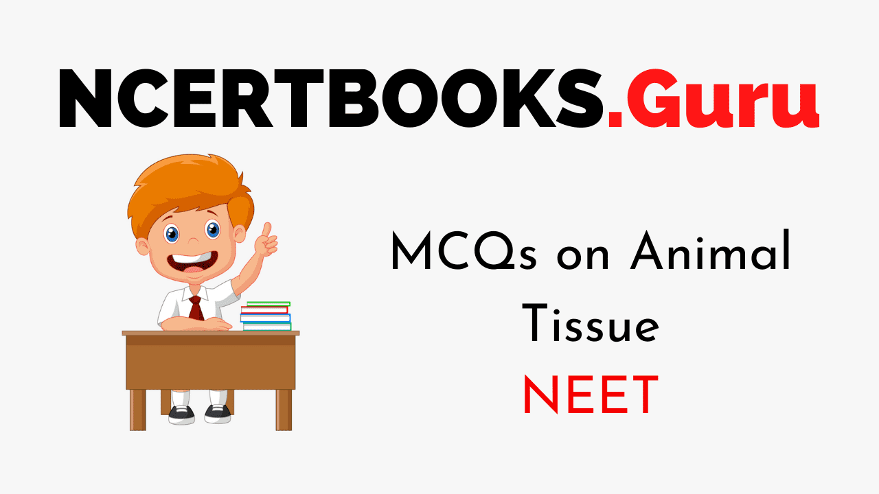 MCQs on Animal Tissue For NEET 2020