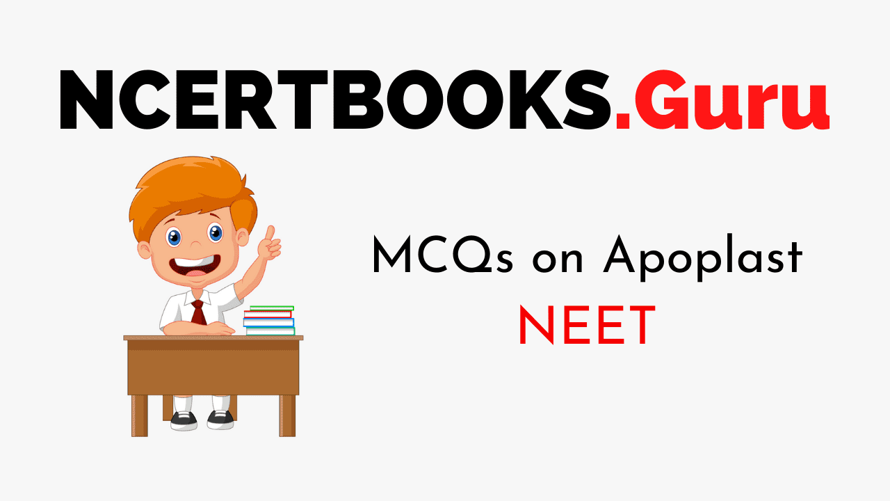 MCQs on Apoplast for NEET