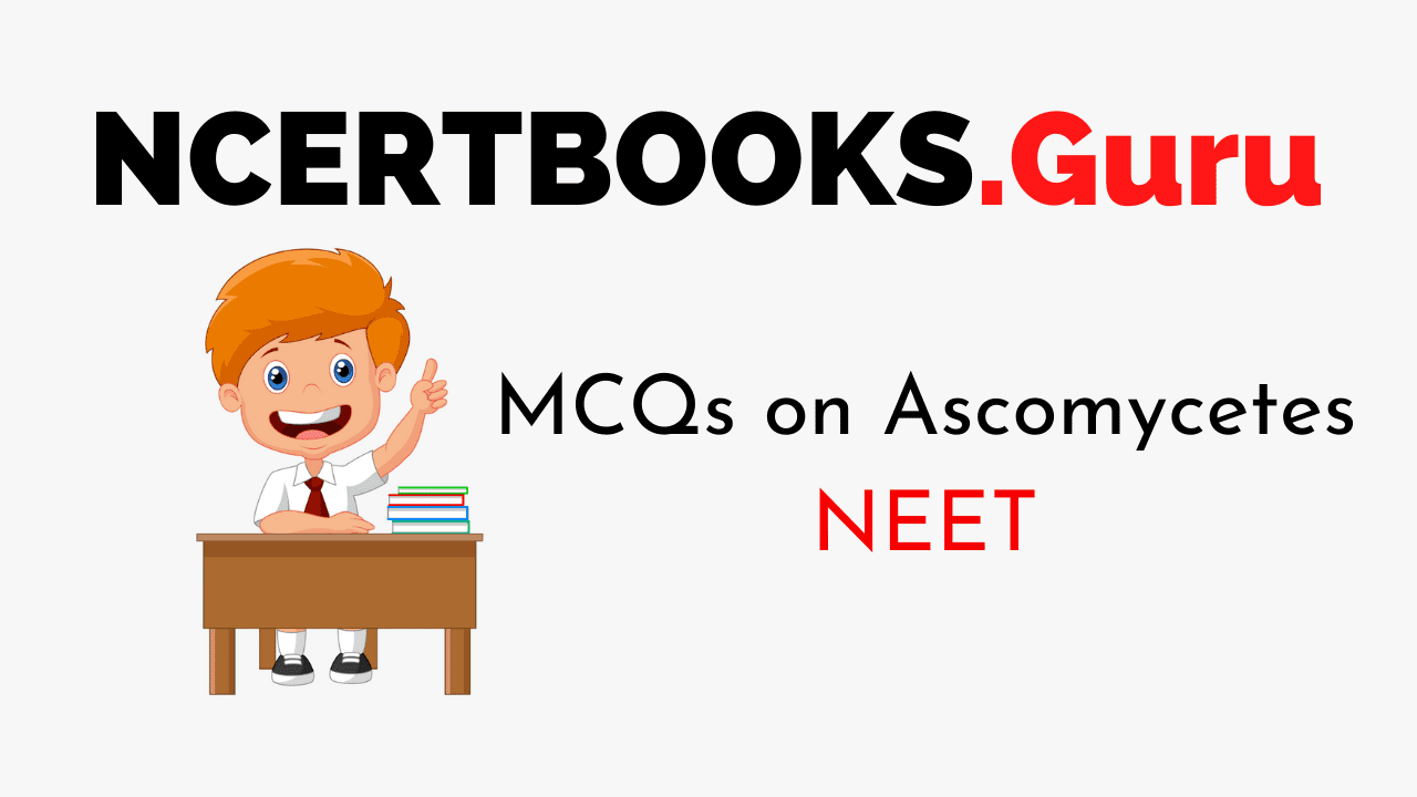MCQs on Ascomycetes for NEET