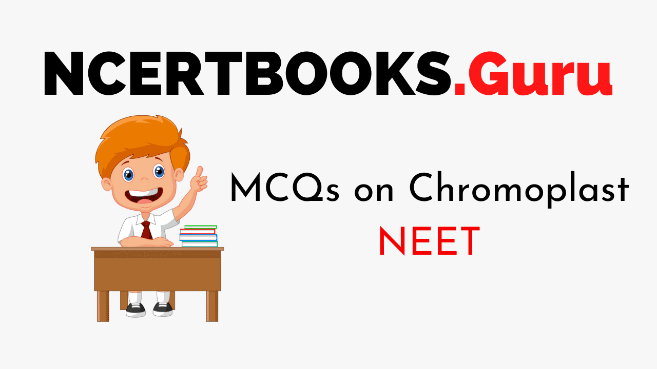 MCQs on Chromoplast for NEET