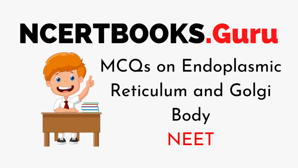 MCQs on Endoplasmic Reticulum and Golgi Body for NEET