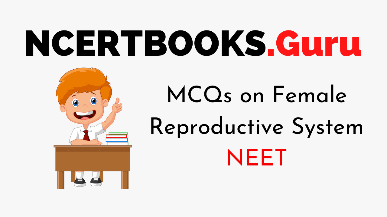 MCQs on Female Reproductive System for NEET 2020