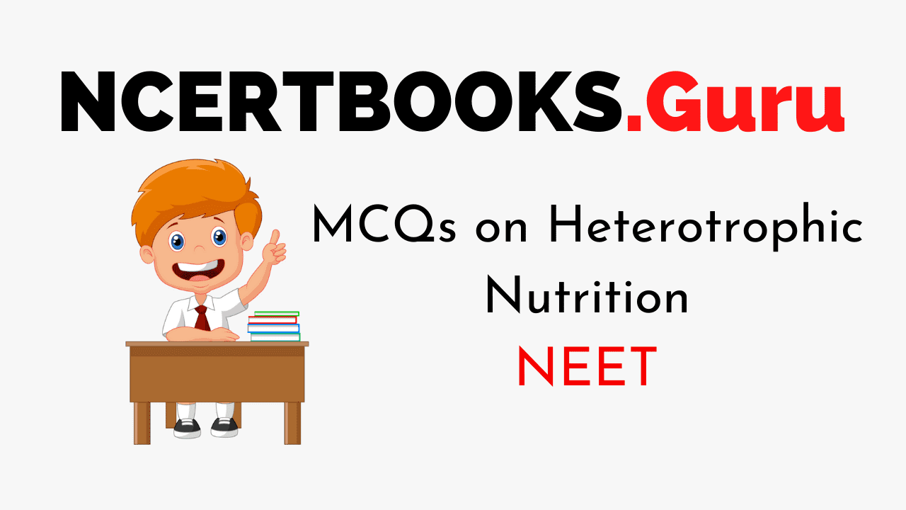MCQs on Heterotrophic Nutrition for NEET 2020