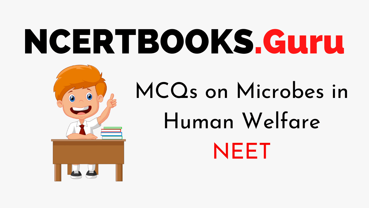 MCQs on Microbes in Human Welfare for NEET