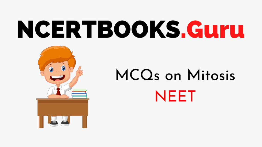 MCQs on Mitosis for NEET