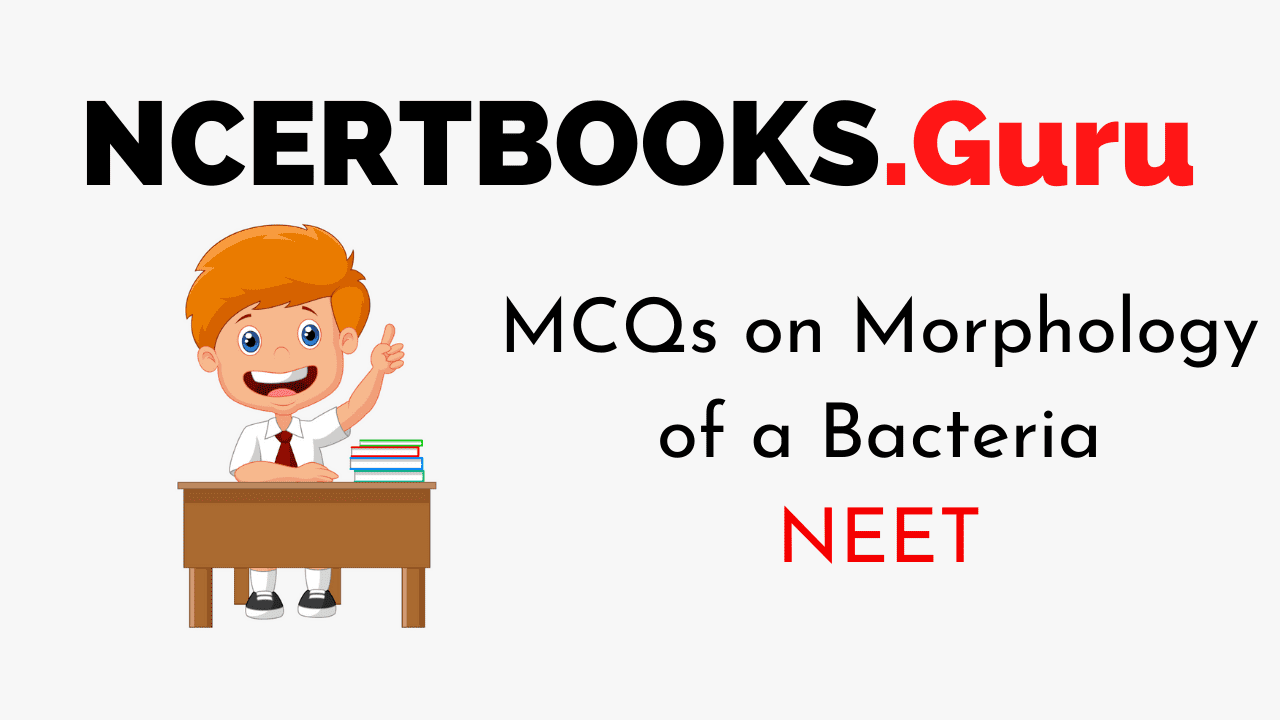 MCQs on Morphology of a Bacteria