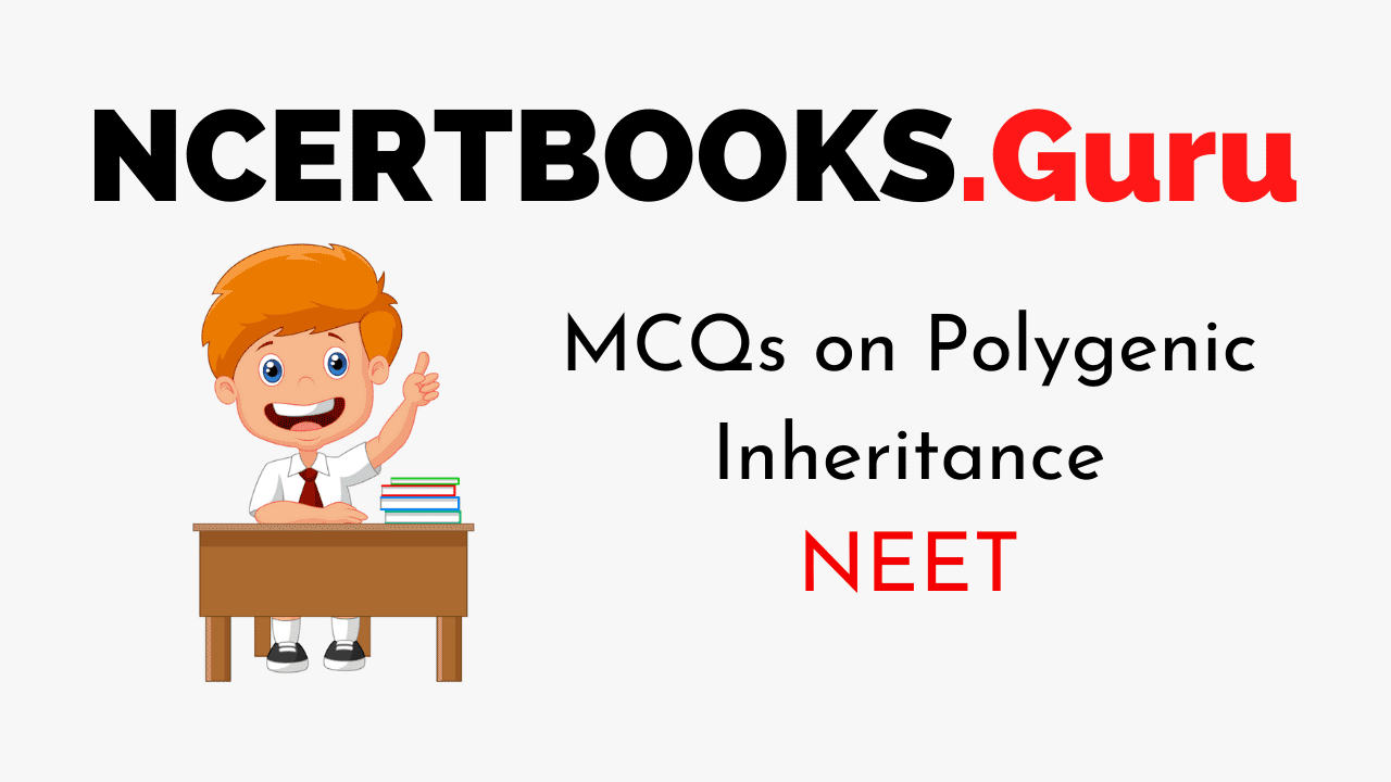 MCQs on Polygenic Inheritance