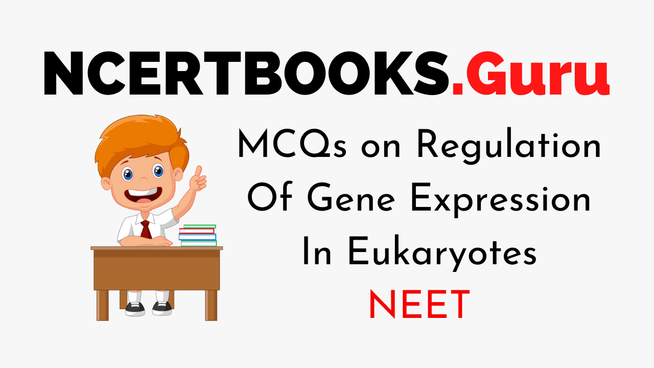 MCQs on Regulation Of Gene Expression In Eukaryotes - NCERT Books