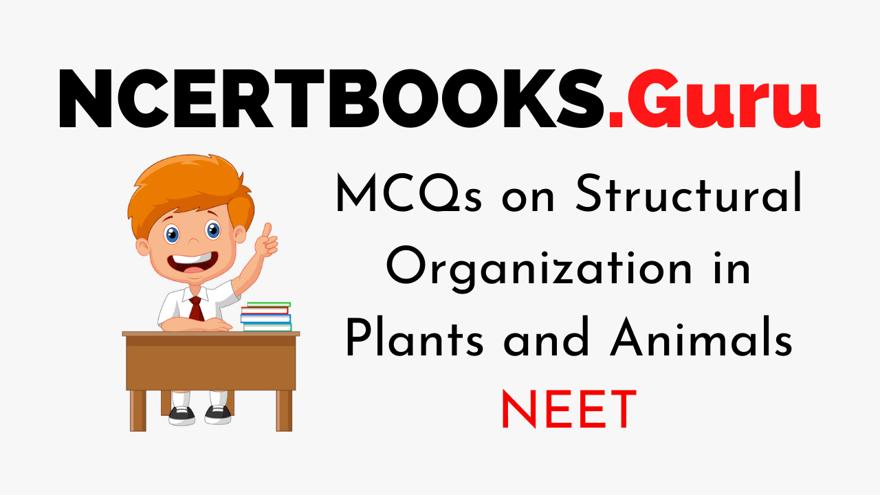 MCQs on Structural Organization in Plants and Animals - NCERT Books MCQs on Structural Organization in Plants and Animals - NCERT Books