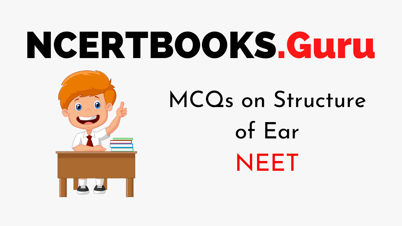 MCQs on Structure of Ear