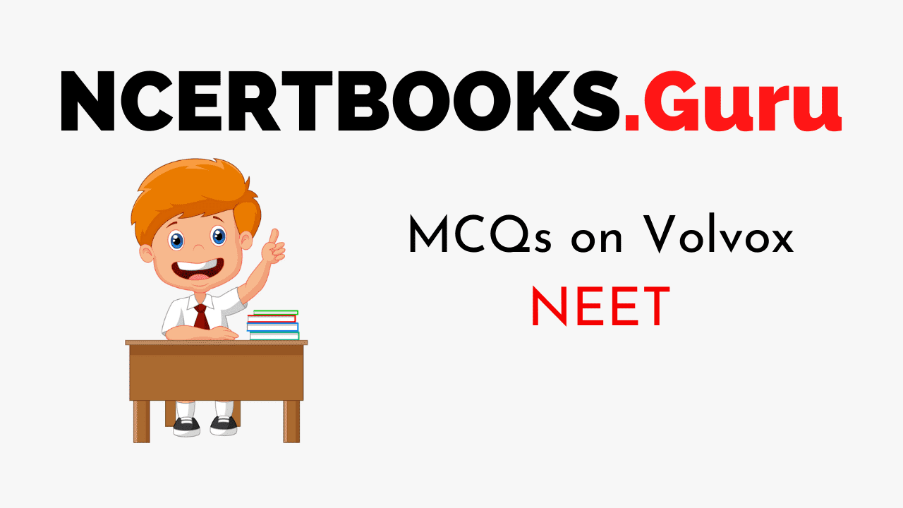 MCQs on Volvox for NEET