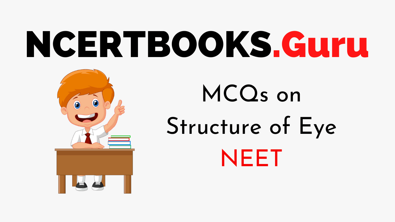 Structure of Eye MCQs for NEET