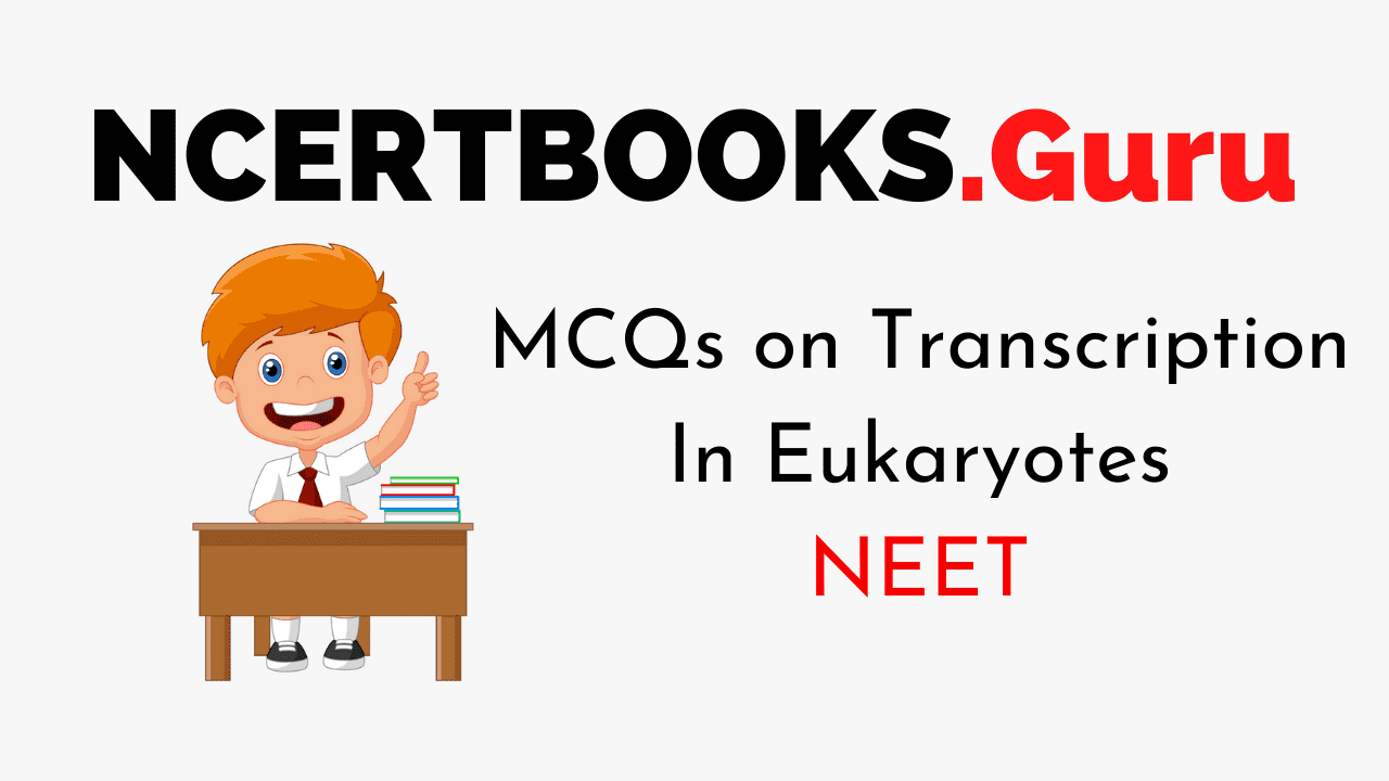 Transcription In Eukaryotes for NEET