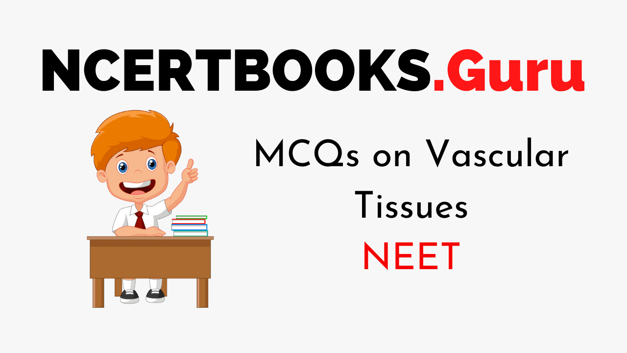 MCQs on Vascular Tissues of NEET