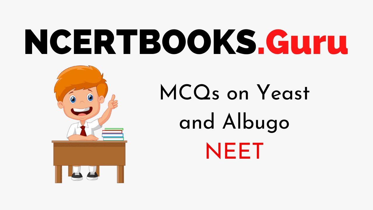 Yeast and Albugo Questions With Answers MCQs for NEET 2020