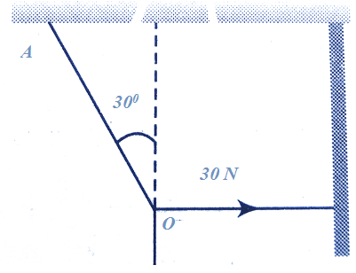 Lami’s Theorem MCQ for NEET 3