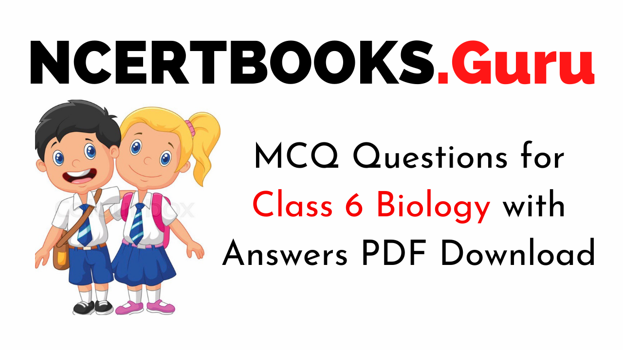 MCQ Questions for Class 6 Biology with Answers PDF Download