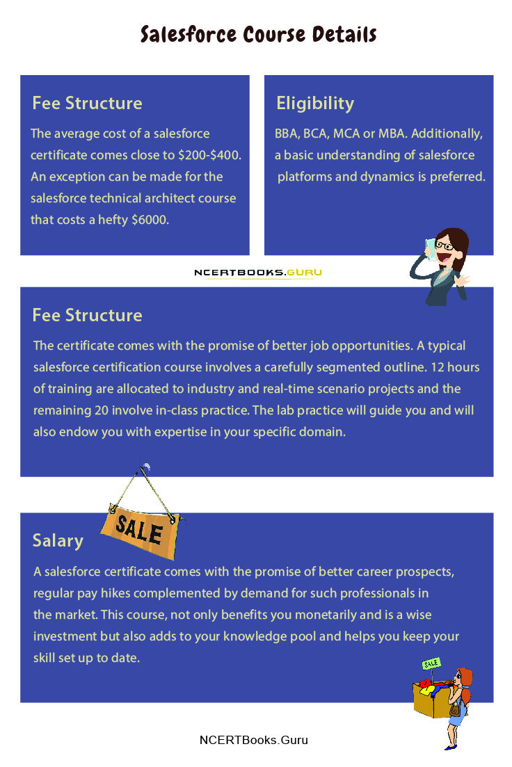 Salesforce Course Details