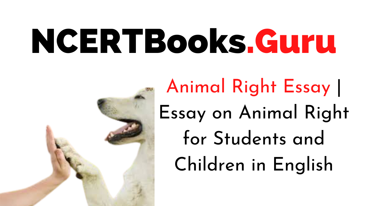 Animal Right Essay | Essay on Animal Right for Students and Children in English - NCERT Books Animal Right Essay | Essay on Animal Right for Students and Children in English - NCERT Books