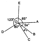 Selina Concise Mathematics Class 7 ICSE Solutions Chapter 14 Lines and Angles Ex 14A Q23