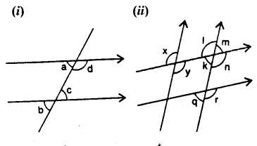 Selina Concise Mathematics Class 7 ICSE Solutions Chapter 14 Lines and Angles Ex 14B Q3
