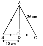 Selina Concise Mathematics Class 7 ICSE Solutions Chapter 16 Pythagoras Theorem Q10