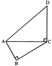 Selina Concise Mathematics Class 7 ICSE Solutions Chapter 16 Pythagoras Theorem Q11